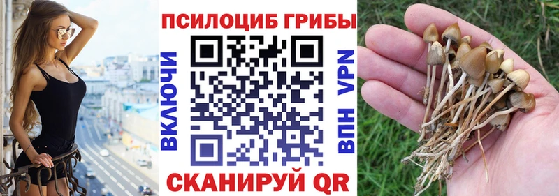Галлюциногенные грибы мицелий  наркотики  Первомайск 